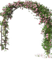Queension arch front view showing full frame and ceremony presence