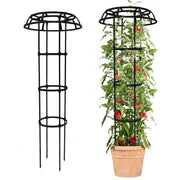 Quibbay trellis front view showing full structure and stable support