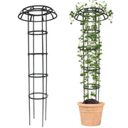 Quibbay trellis front view showing mushroom top and full height benefit