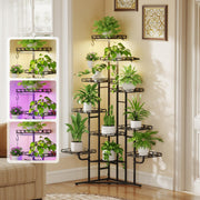 Quikraen front view corner stand showing tall 10-tier storage and space saving