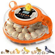 QVKHPCL front view showing compact incubator for reliable home hatching