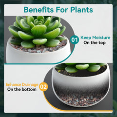 Rahato rocks used as succulent topdressing improving appearance