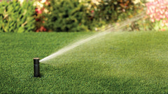 Rain Bird CP3504PC close-up Rain Curtain nozzle showing large droplets and wind-resistant spray