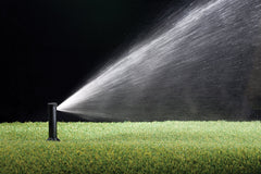 Rain Bird CP3504PC popped up in tall grass showing 4 inch height keeps spray above turf
