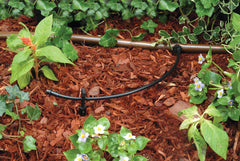 Rain Bird tubing installed with micro-emitter illustrating secure fit and targeted watering