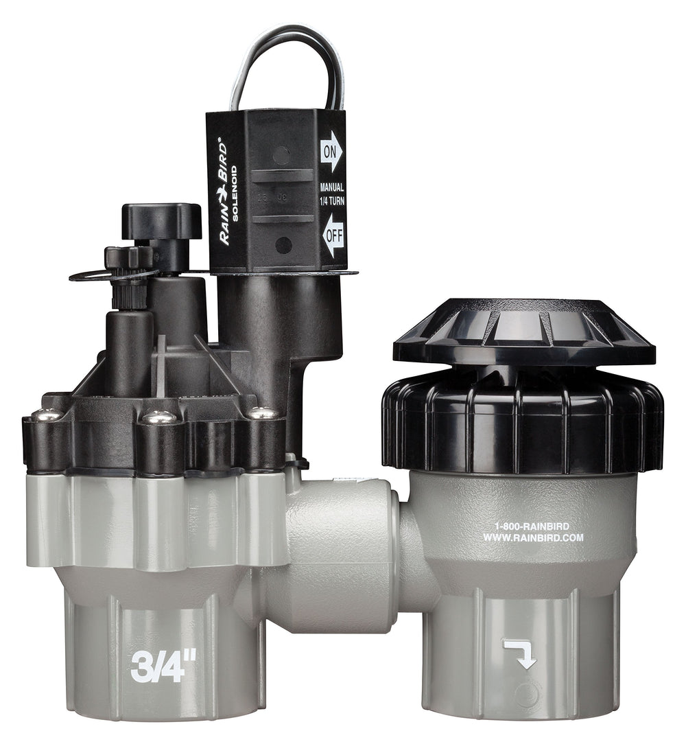 Rain Bird valve front view showing full housing and threaded connections for reliable installation