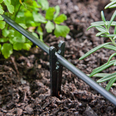 Raindrip stake next to ruler showing 6-inch length for proper emitter height