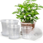 RAOOKIF clear nursery pots front packaging showing included sizes and saucers for convenience
