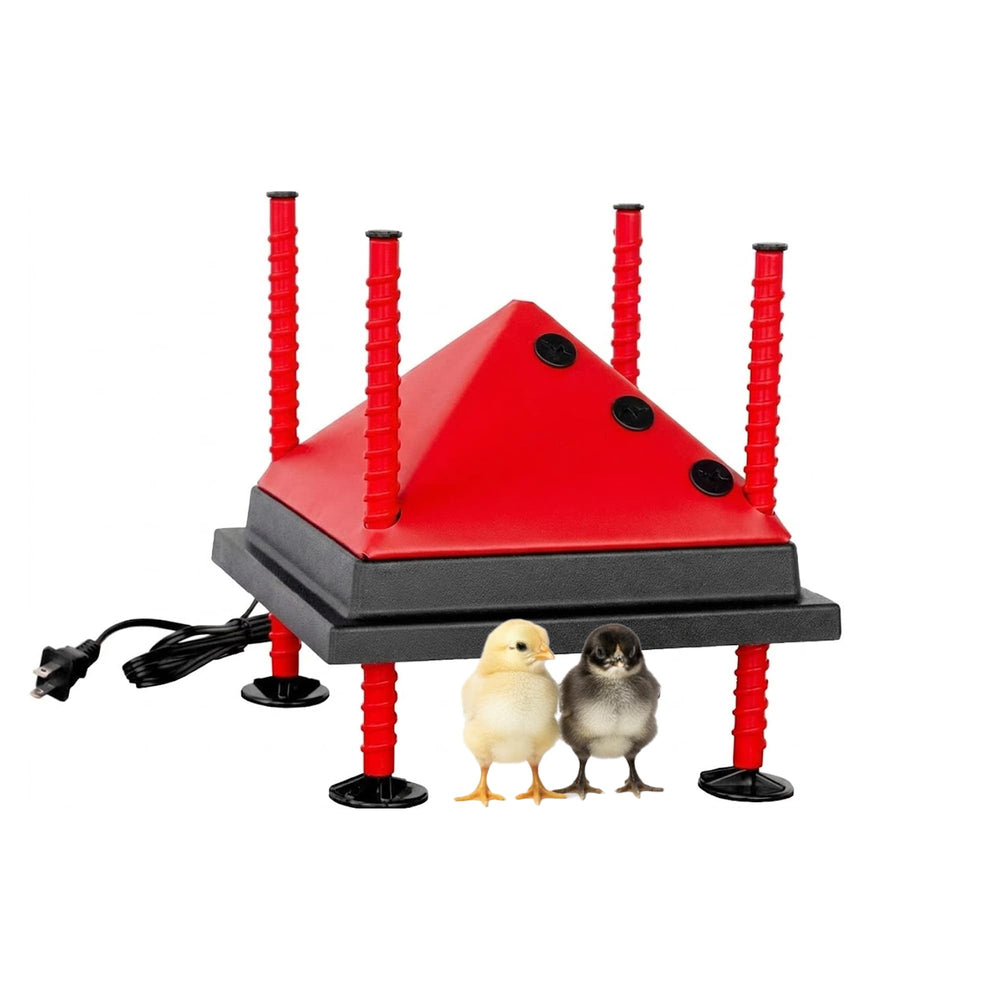 RentACoop heating plate front view shows compact design and safe radiant surface