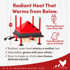 RentACoop plate underside heat zone showing warm center for natural chick comfort