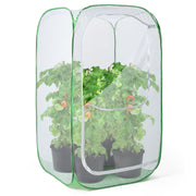 RESTCLOUD front view of pop-up cage showing full plant protection and airflow