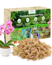 Riare front packaging showing compressed 2.2lb block, easy storage benefit