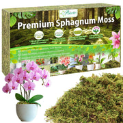 Riare front packaging of 7oz moss showing product and benefits