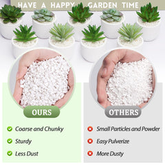 Riare perlite used in succulent pot to prevent overwatering and root rot