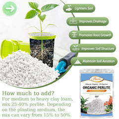 Riare perlite mixed into potting soil demonstrating faster drainage benefit