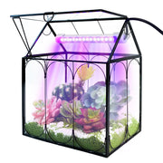 RIFNY front view of house terrarium showcasing clean display and compact size