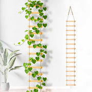 Rinelavie front view wooden ladder trellis showing height and clean lines for display