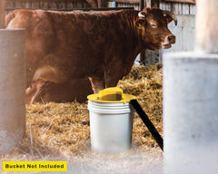 RinneTraps bucket trap set in garage highlighting low-maintenance rodent control