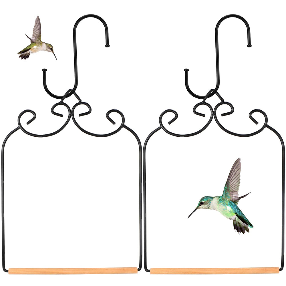 Ripeng swing front view showcasing frame and perch benefit visibility