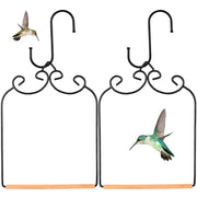 Ripeng swing front view showcasing frame and perch benefit visibility