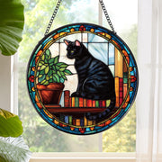 Rngmsi black cat front view showing colorful reflections and charm