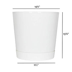 Root & Vessel top view showing deep planting space to support strong root growth benefit