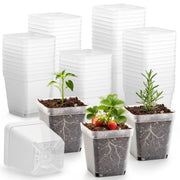 RooTrimmer clear front pack showing 120 pots and storage benefit