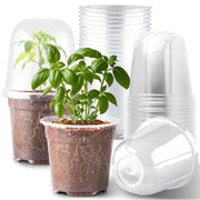 RooTrimmer clear nursery pot front view shows stable base and clarity benefit