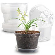RooTrimmer clear pot front view showing clean durable design and easy handling