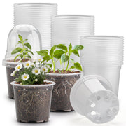 RooTrimmer clear pot front view showing transparency and easy inspection benefit