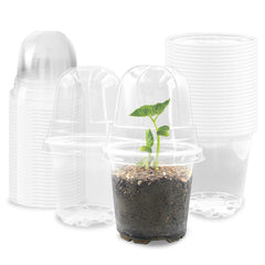 RooTrimmer clear pot front view showing transparent walls for easy monitoring