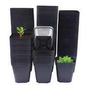 RooTrimmer front pack showing 120 pots and value for growers