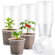 RooTrimmer front view of 200-pack clear pots showing bulk supply and convenience