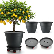 RooTrimmer front view of three-pack planters showing neat modern design and capacity benefit