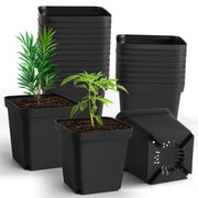 RooTrimmer front view of 30-pack showing uniform pots and value
