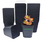 RooTrimmer front view of 60-pack showing compact bulk storage and convenience