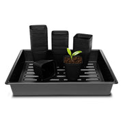 RooTrimmer front view of pots and trays for easy setup