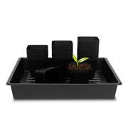 RooTrimmer front packaging showing 60 pots and 5 trays for organized starting