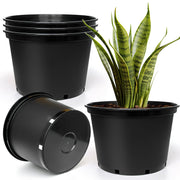 RooTrimmer front view of five-pack showing size and uniformity for multi-plant projects