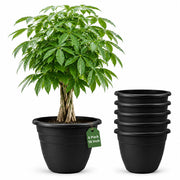 RooTrimmer front view of 16-inch pot showing clean silhouette and uniform finish
