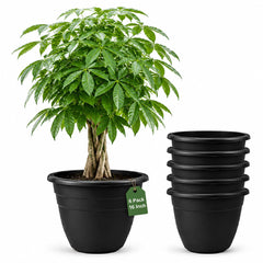 RooTrimmer front view of 16-inch pot showing clean silhouette and uniform finish