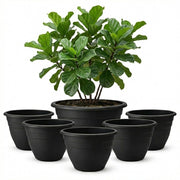 RooTrimmer front view 20-inch black pot showing clean modern profile and durability