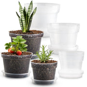 RooTrimmer front view of clear pots and saucers showing organized set and convenience