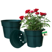 RooTrimmer front view of 50 green pots showing uniform pack and ready-to-use benefit