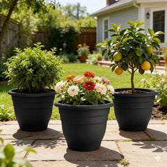 RooTrimmer 16-inch pot planted with monstera illustrating root space benefit