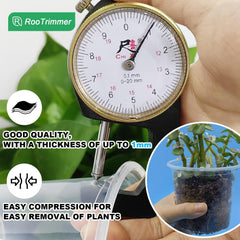 RooTrimmer clear pot with visible roots to aid timely transplanting