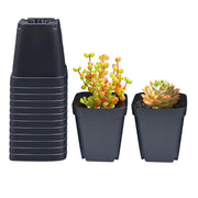 RooTrimmer front view of square nursery pot showing size and shape for organized trays