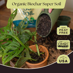 Rosy Soil pumice and biochar detail highlighting aeration benefit