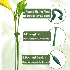 Ruksifg V-shaped prongs inserted into soil for stronger hold