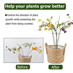 Ruksifg stake supporting an orchid stem for upright growth